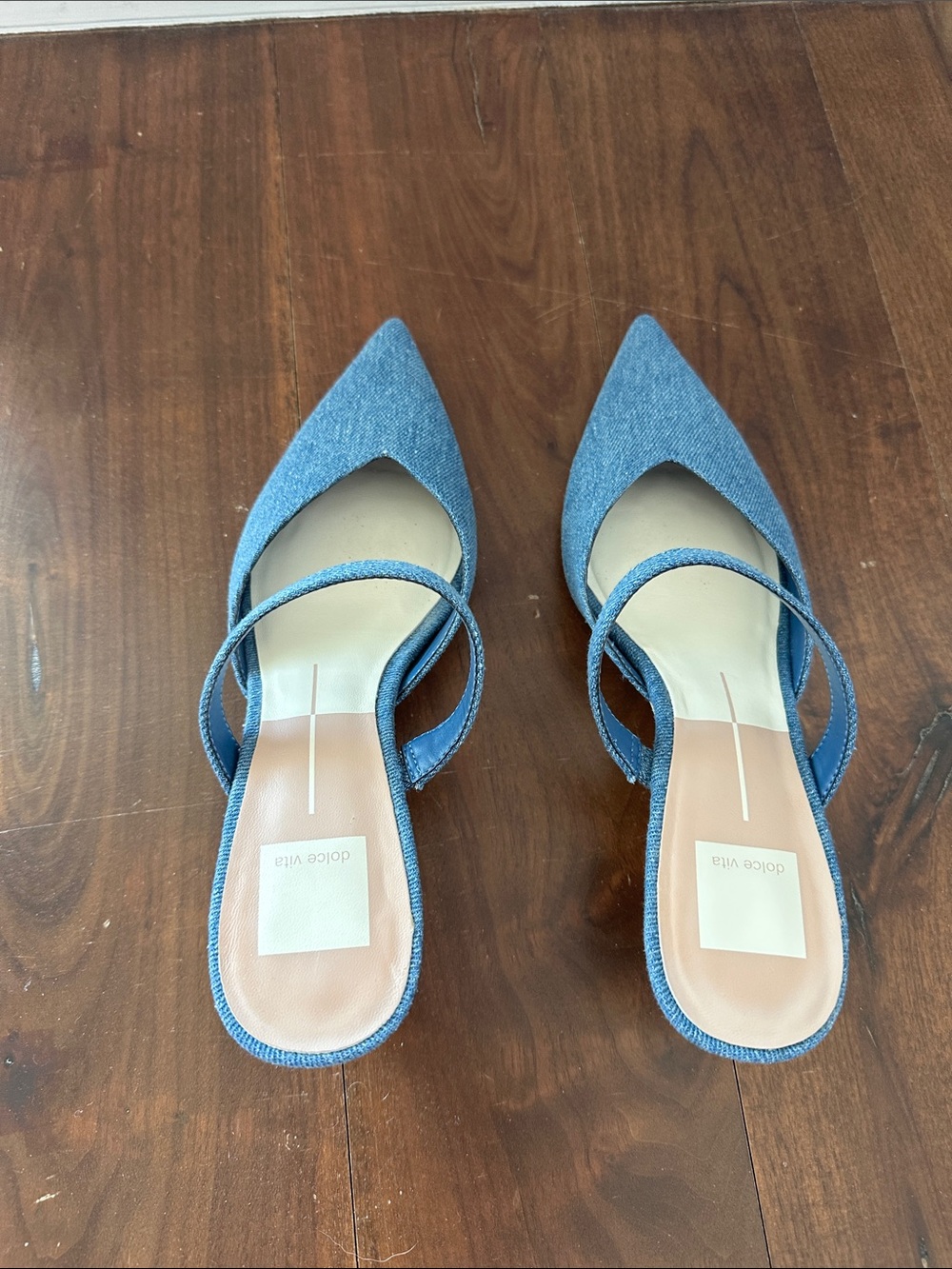 Dolce Vita Kanika kitten heel mule